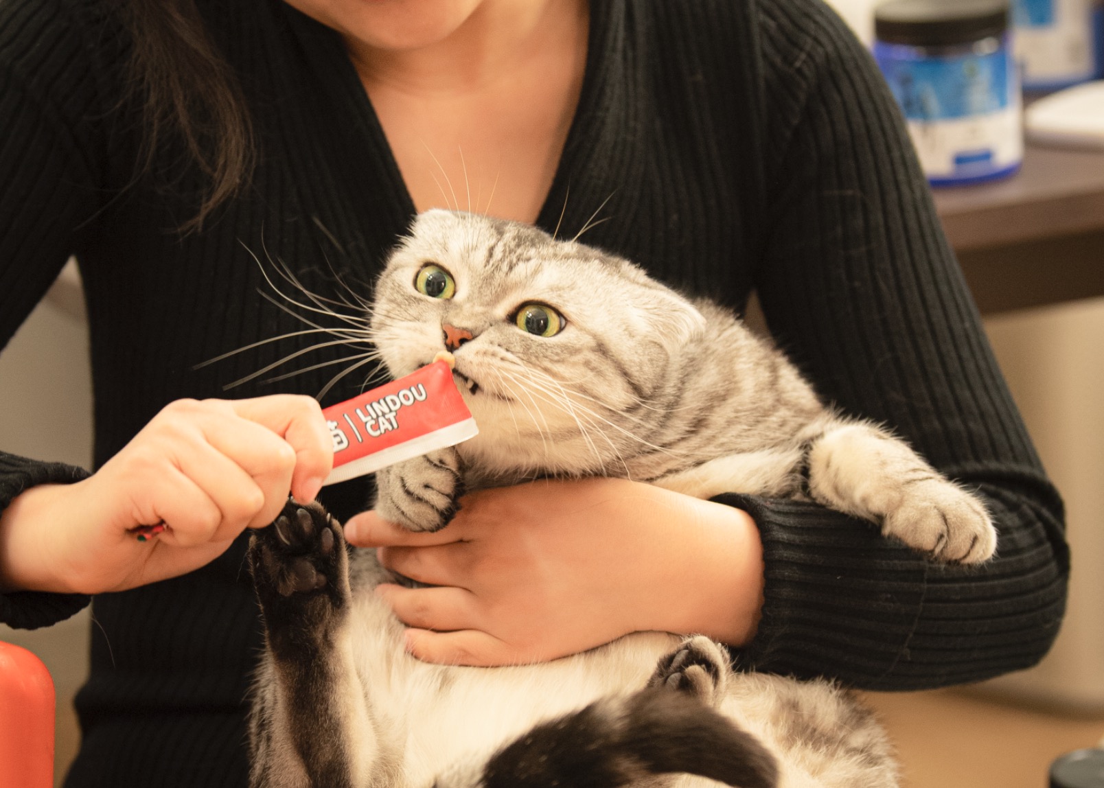 三木在怀里吃猫条